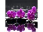 Фото щори Цветя 13